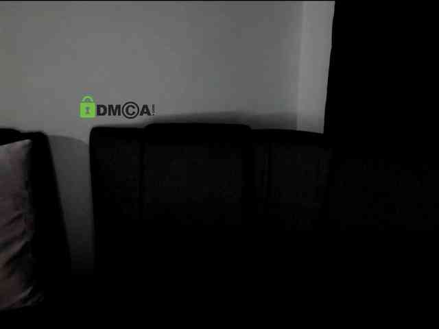 -Shimmer- webcam