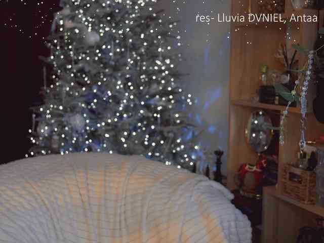 -Queen-Maria- -Queen-Maria-