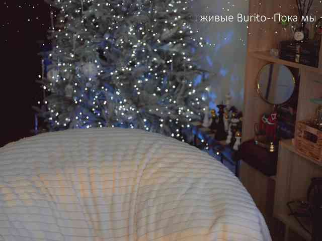 -Queen-Maria- -Queen-Maria-