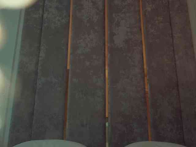 ButterflySoul webcam