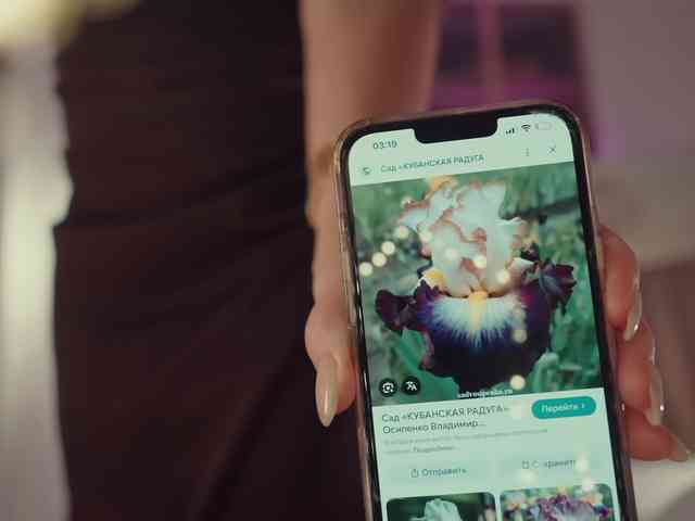 ButterflySoul webcam