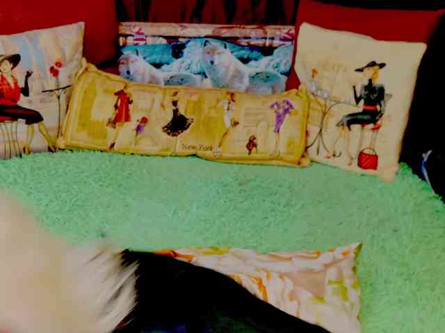 stiphlermom Live Webcam on BongaCams stiphlermom Live Webcam on BongaCams