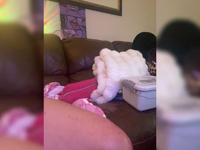 TheDime's BongaCams show and profile