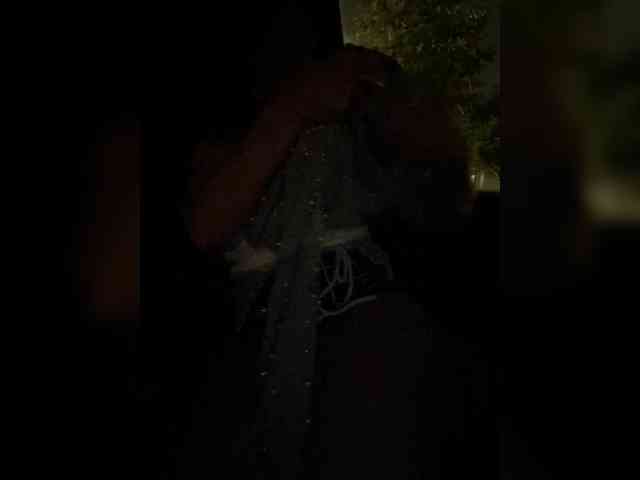 real live cam seks TheDime