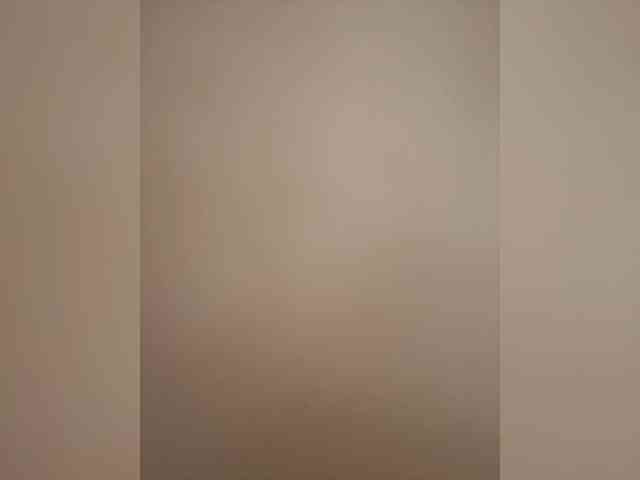 TheDime webcam