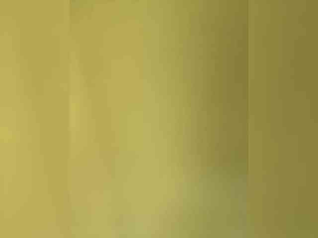 TheDime webcam