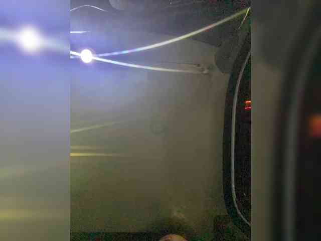 TheDime webcam
