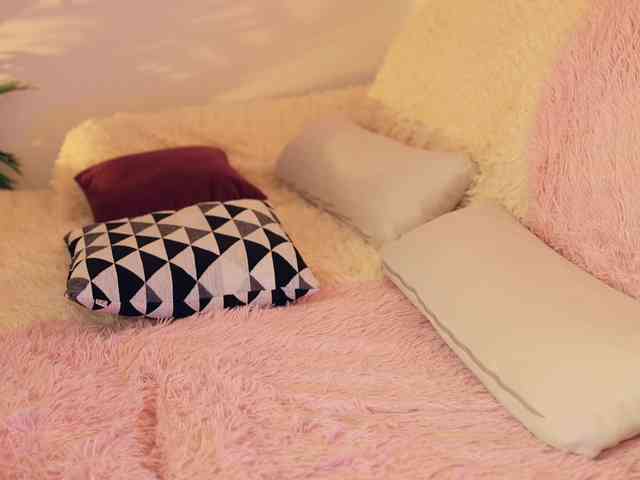 -white-kitty- -white-kitty-