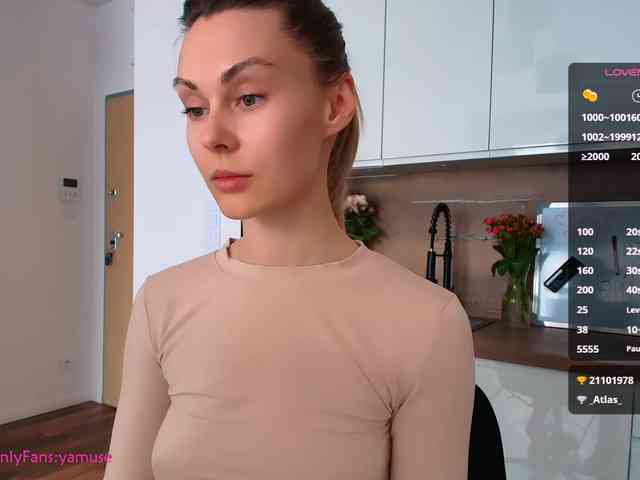 VIRTUAL_MUSE webcam