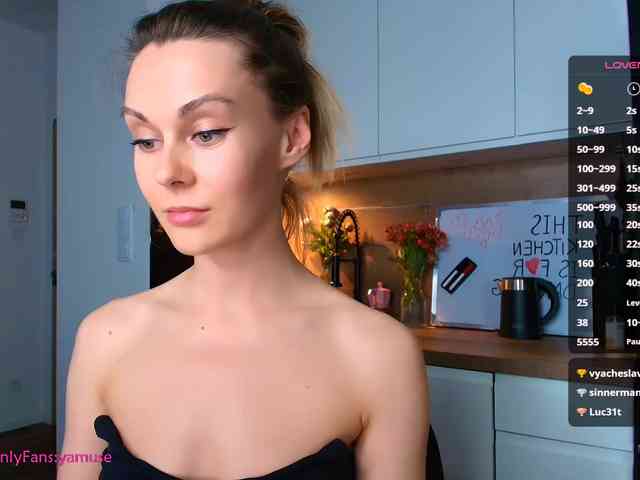 VIRTUAL_MUSE webcam