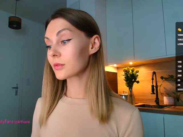 VIRTUAL_MUSE webcam