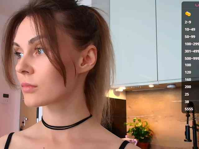 VIRTUAL_MUSE webcam