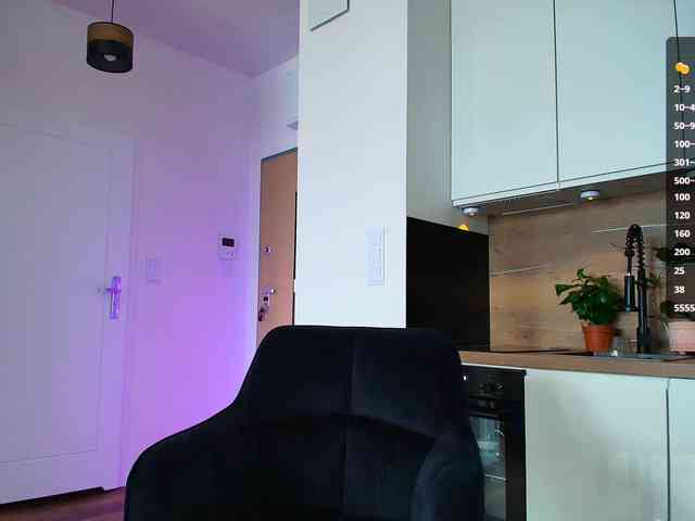 VIRTUAL_MUSE webcam