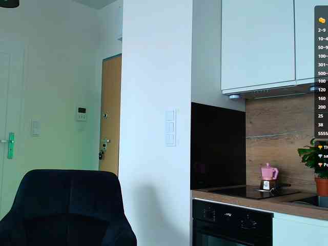 VIRTUAL_MUSE webcam