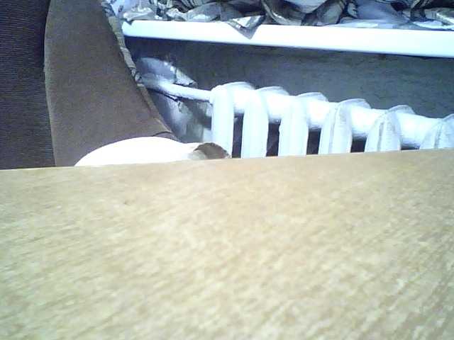 seksimari-5 cam belle