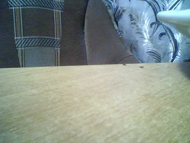 SEKSIMARI-5's BongaCams show and profile