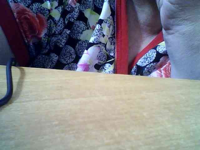 SEKSI-44 webcam