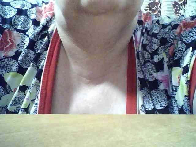 SEKSI-44 webcam