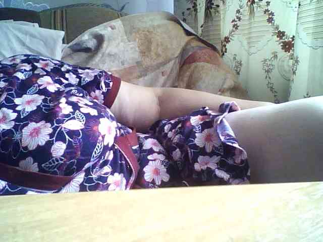 SEKSI-44 webcam
