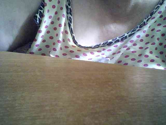 SEKSI-44 webcam