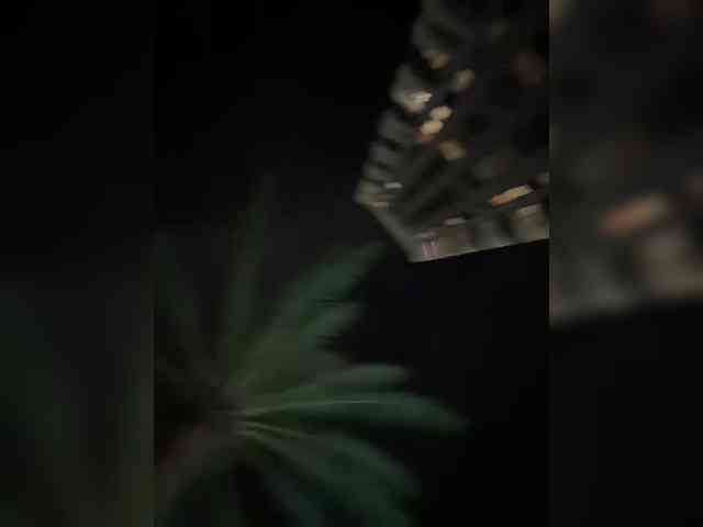 Vishenka7777 Vishenka7777