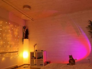 virtual_lady Porn Show