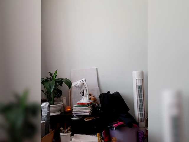 kittywithbig cam belle