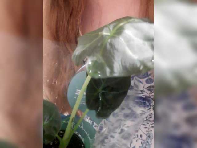 little-pussy3's BongaCams show and profile