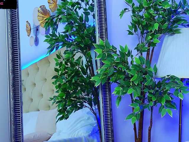 daliyaarabian online