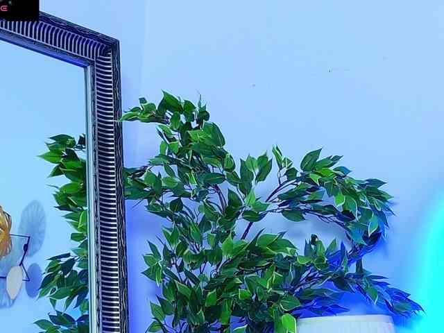 DaliyaArabian webcam