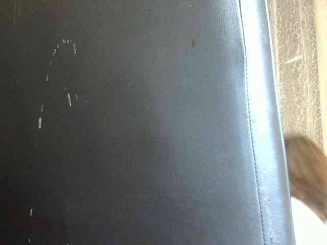 Daniella854 webcam