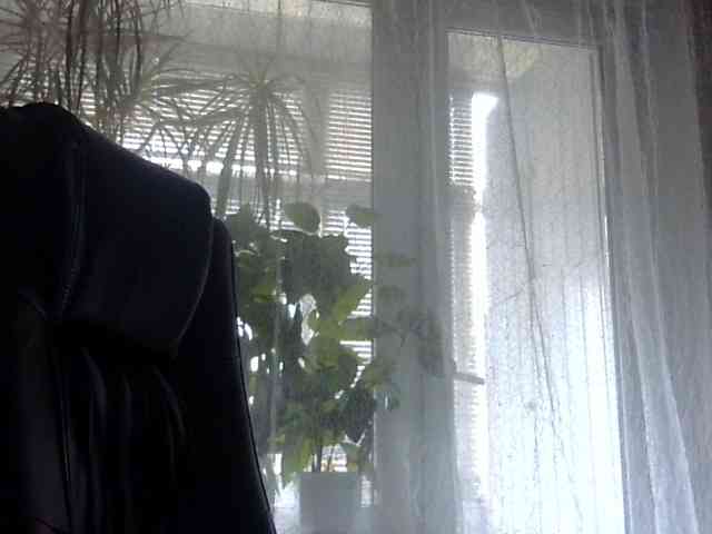 Daniella854 webcam