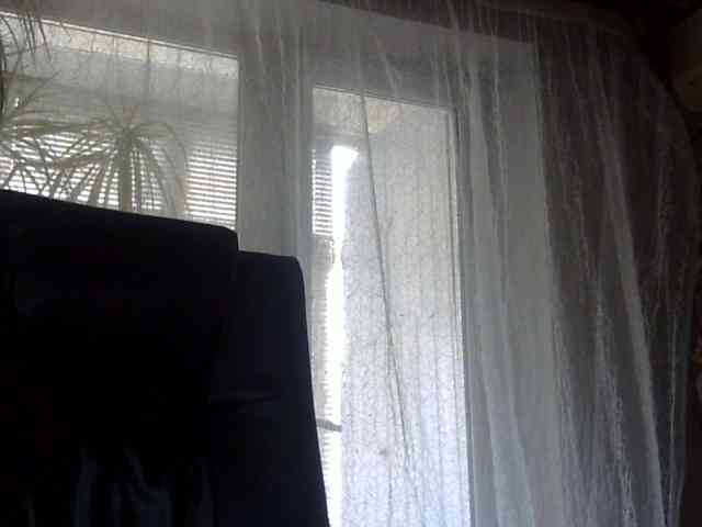 Daniella854 webcam