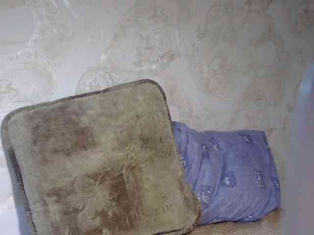 Daniella854 webcam