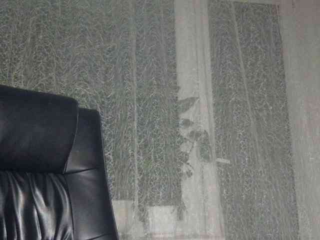 Daniella854 webcam