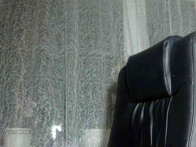 Daniella854 webcam