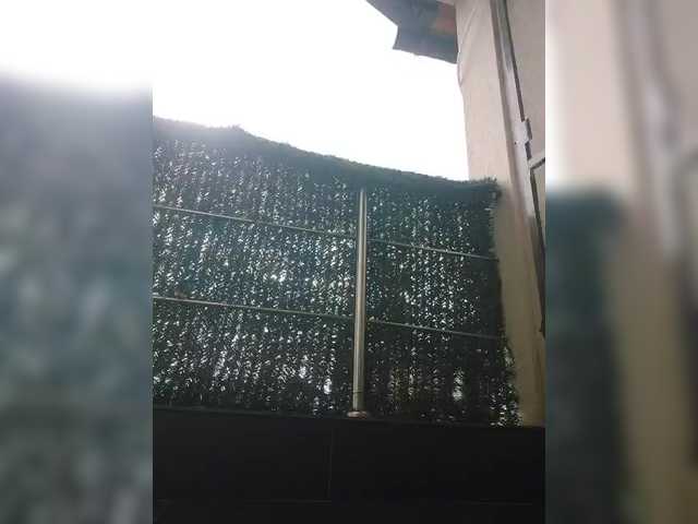 lovehornyman's BongaCams show and profile