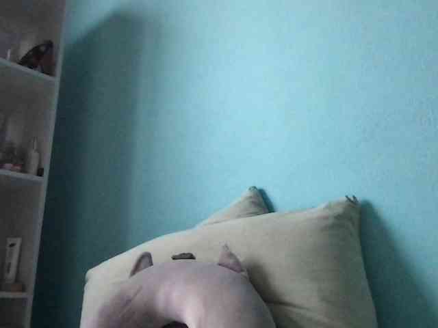 MilaBi-192569 webcam