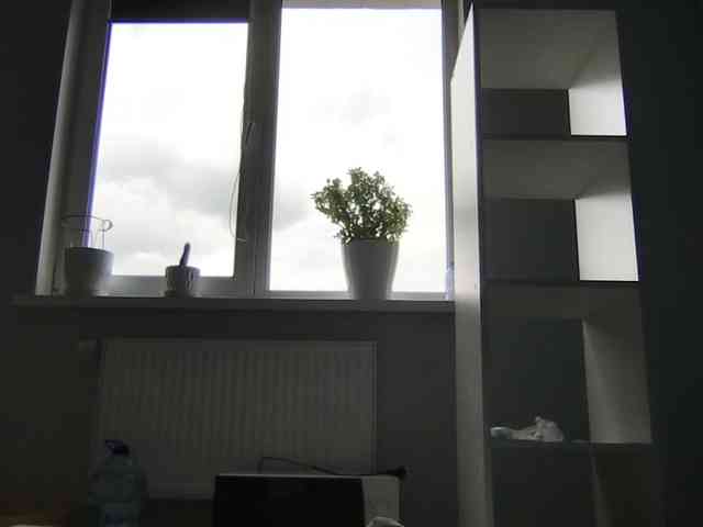 MilaBi-192569 webcam