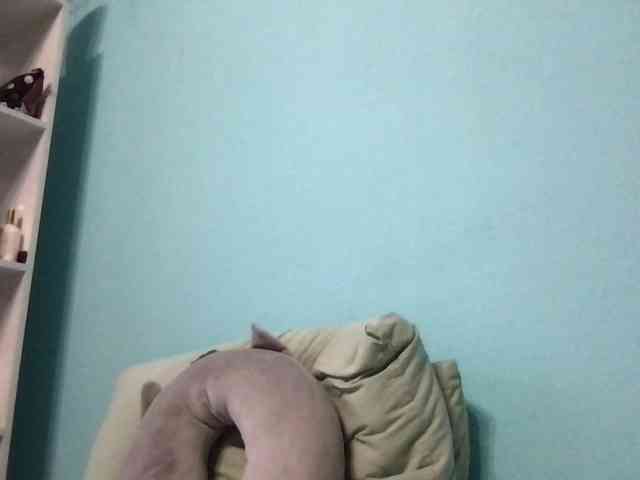 MilaBi-192569 webcam