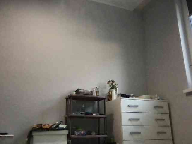 MilaBi-192569 webcam