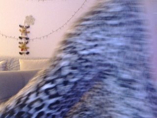 goodSnowQueen Porn Show