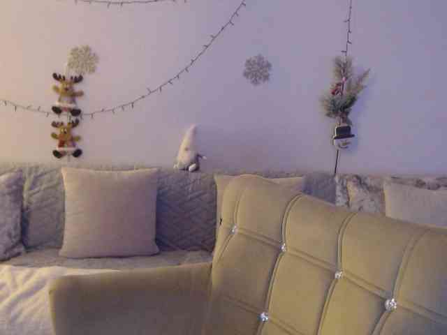 goodSnowQueen webcam