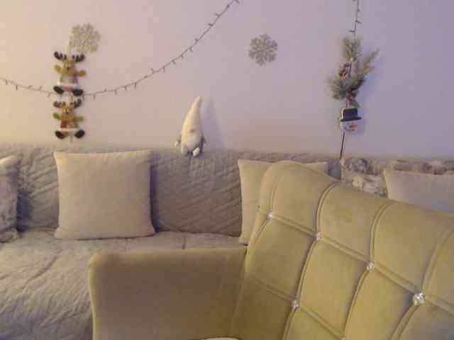 goodSnowQueen webcam