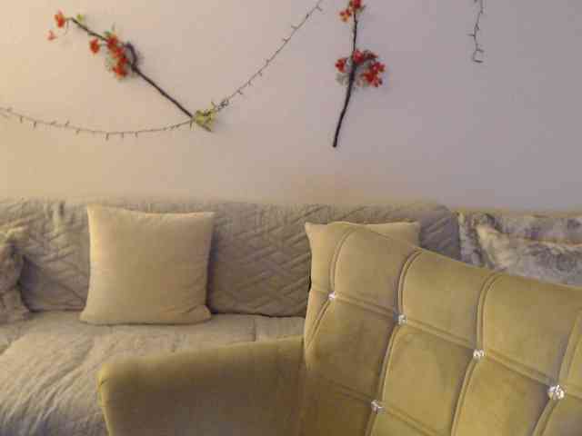 goodSnowQueen webcam