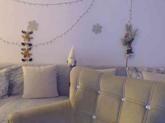 goodSnowQueen webcam