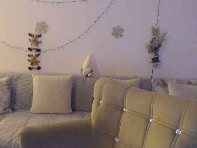 goodSnowQueen webcam