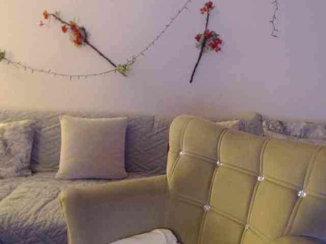goodSnowQueen webcam