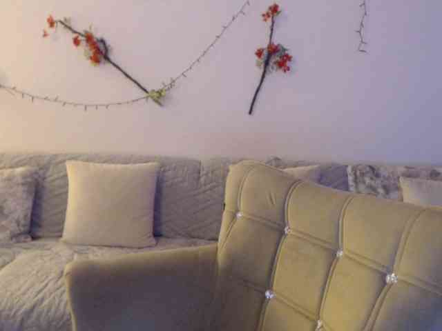 goodSnowQueen webcam
