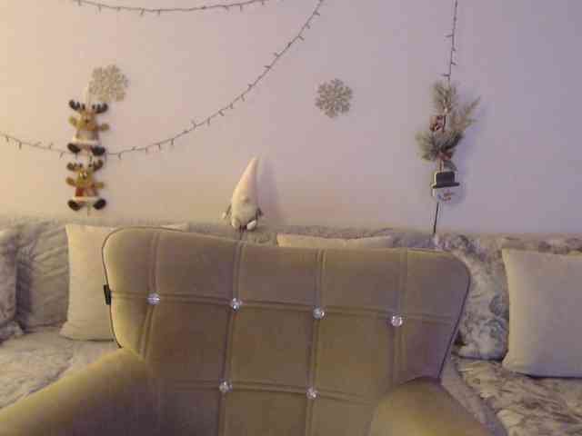 goodSnowQueen webcam